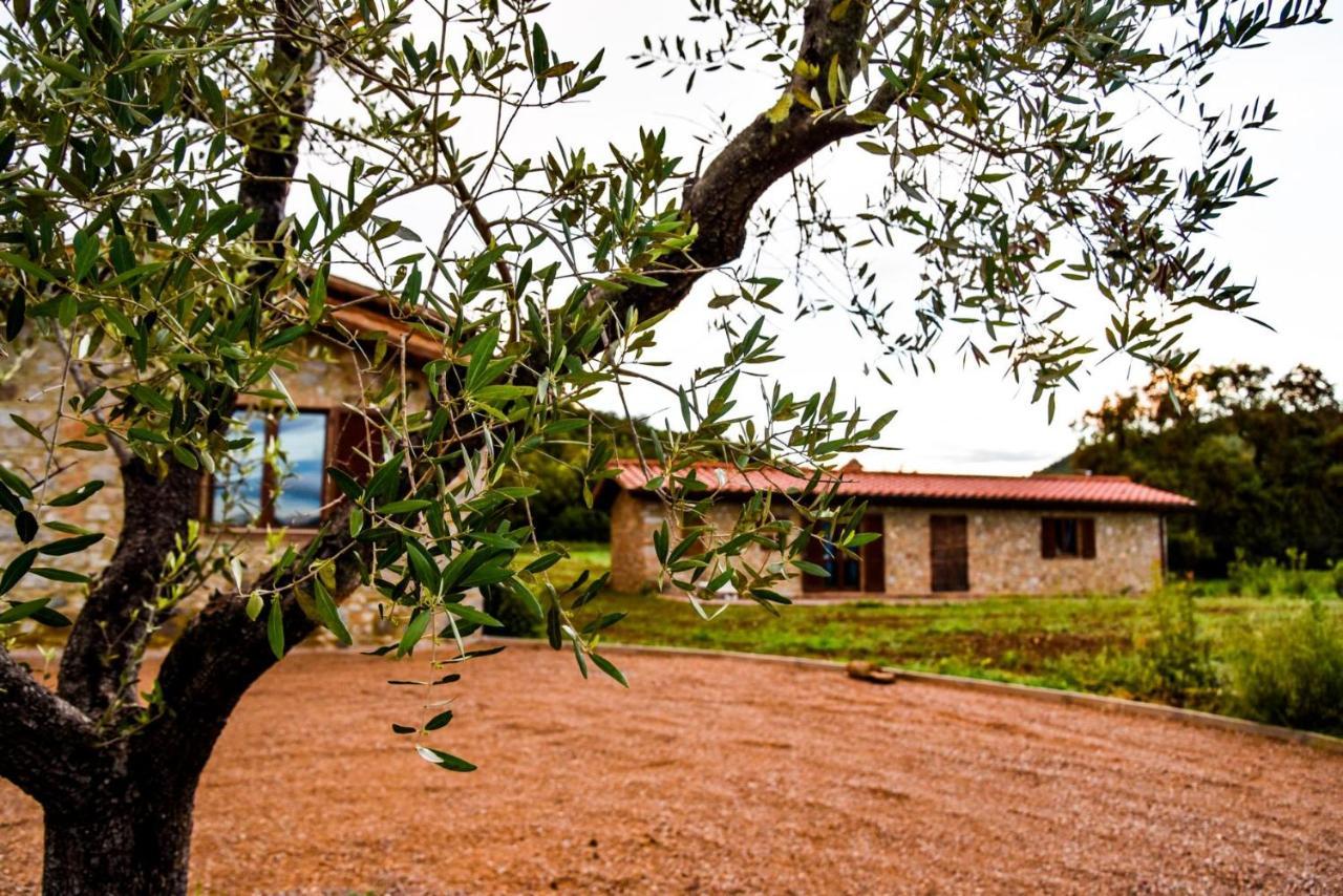 Appartement Casa Campione à Roccastrada Extérieur photo